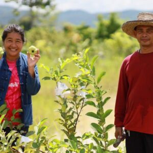 ของขวัญเพื่อการเกษตร เพื่อความอยู่ดีมีสุขของทั้งชุมชน