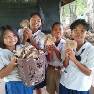 ก้อนเชื้อเห็ด ทำอาหารก็ได้ สร้างรายได้ก็ดี (698)